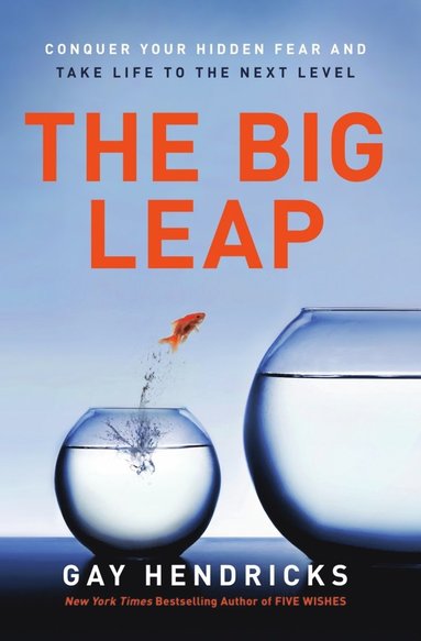 Big Leap (inbunden)