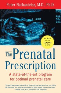 Prenatal Prescription (e-bok)