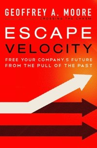 Escape Velocity (e-bok)