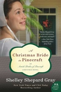 A Christmas Bride in Pinecraft (hftad)
