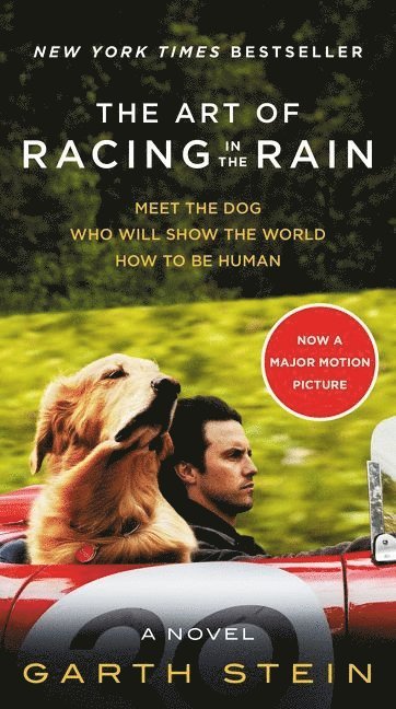 The Art of Racing in the Rain Movie Tie-In Edition (häftad)
