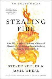 Stealing Fire (inbunden)