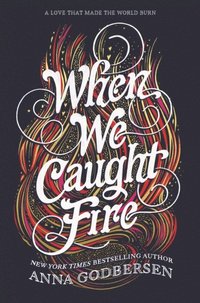 When We Caught Fire (e-bok)