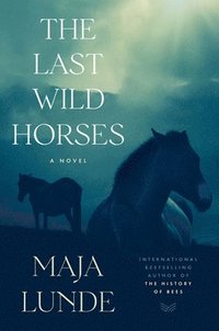 Last Wild Horses (inbunden)