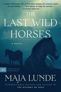Last Wild Horses (häftad)