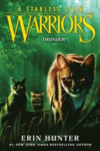 WARRIOR CATS 2. Fuoco e ghiaccio (Italian Edition) eBook : Erin Hunter:  : Livros