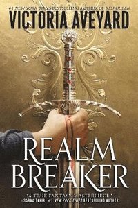Realm Breaker (häftad)