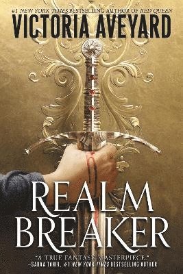 Realm Breaker (inbunden)
