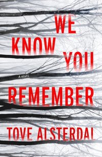 We Know You Remember (e-bok)