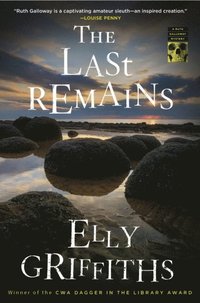 Last Remains (e-bok)