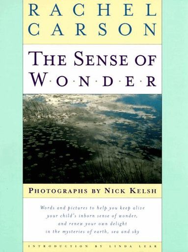Sense of Wonder (h�ftad)