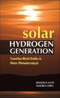 Solar Hydrogen Generation: Transition Metal Oxides in Water Photoelectrolysis (inbunden)