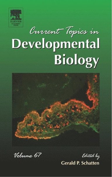 Current Topics in Developmental Biology (e-bok)