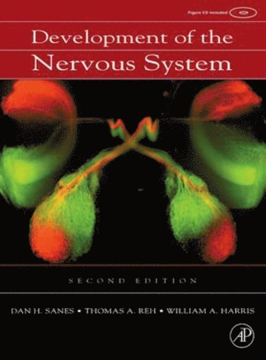 Development of the Nervous System (e-bok)