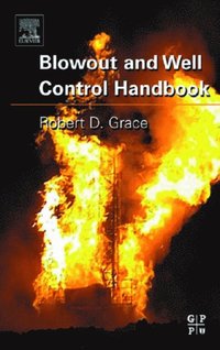 Blowout and Well Control Handbook (e-bok)