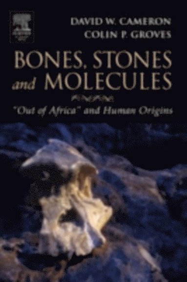Bones, Stones and Molecules (e-bok)