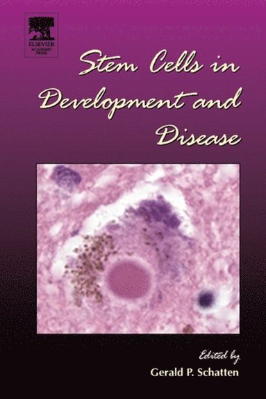 Stem Cells in Development and Disease (e-bok)