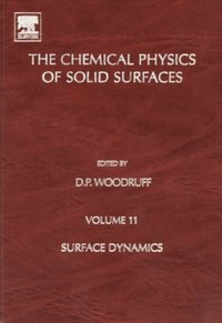 Surface Dynamics (e-bok)