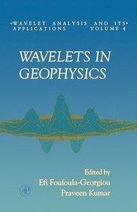 Wavelets in Geophysics (e-bok)
