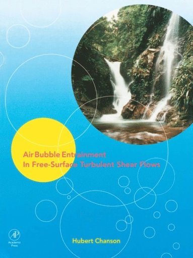 Air Bubble Entrainment in Free-Surface Turbulent Shear Flows (häftad)