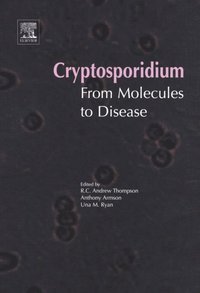 Cryptosporidium: From Molecules to Disease (e-bok)