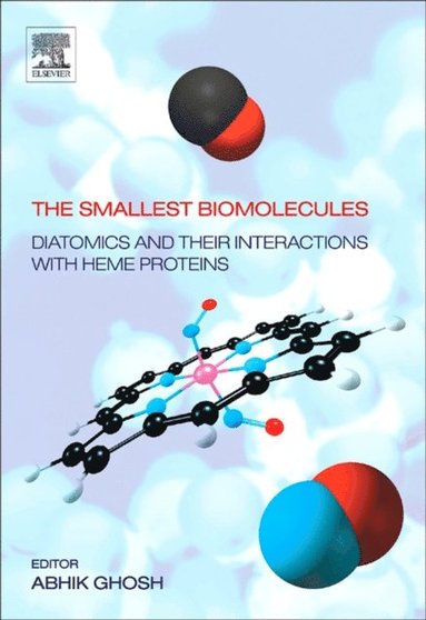 Smallest Biomolecules: Diatomics and their Interactions with Heme Proteins (e-bok)