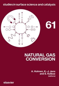 Natural Gas Conversion (e-bok)