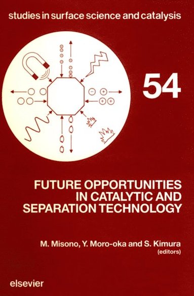 Future Opportunities in Catalytic and Separation Technology (e-bok)