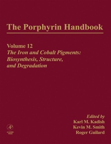 Porphyrin Handbook (e-bok)