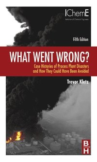 What Went Wrong? (e-bok)