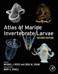 Atlas of Marine Invertebrate Larvae (häftad)
