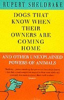 Dogs That Know When Their Owners Are Coming Home (hftad)