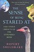The Sense Of Being Stared At