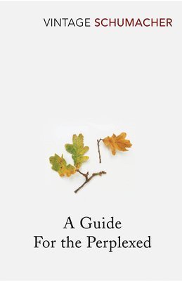 Guide For the Perplexed (häftad)