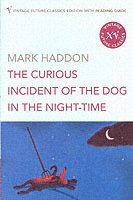The Curious Incident of the Dog in the Night-time (häftad)