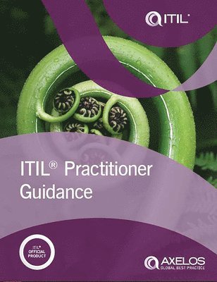 ITIL Practitioner Guidance (häftad)