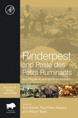 Rinderpest and Peste des Petits Ruminants (inbunden)
