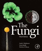 The Fungi (hftad)