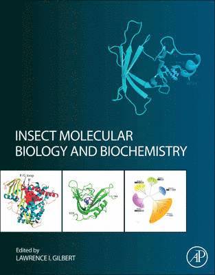 Insect Molecular Biology and Biochemistry (inbunden)