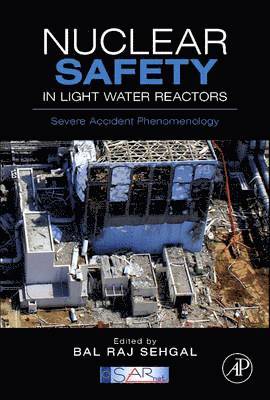 Nuclear Safety in Light Water Reactors (inbunden)