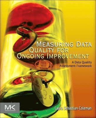 Measuring Data Quality for Ongoing Improvement (inbunden)