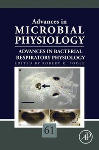 Advances in Bacterial Respiratory Physiology (e-bok)