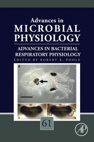 Advances in Bacterial Respiratory Physiology (hftad)