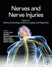Nerves and Nerve Injuries (inbunden)