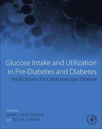 Glucose Intake and Utilization in Pre-Diabetes and Diabetes (inbunden)