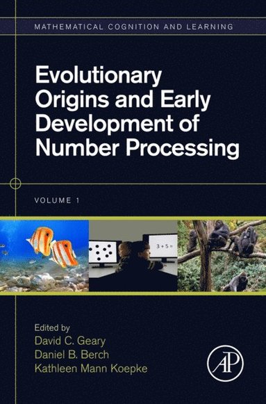 Evolutionary Origins and Early Development of Number Processing (inbunden)
