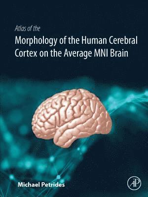 Atlas of the Morphology of the Human Cerebral Cortex on the Average MNI Brain (inbunden)