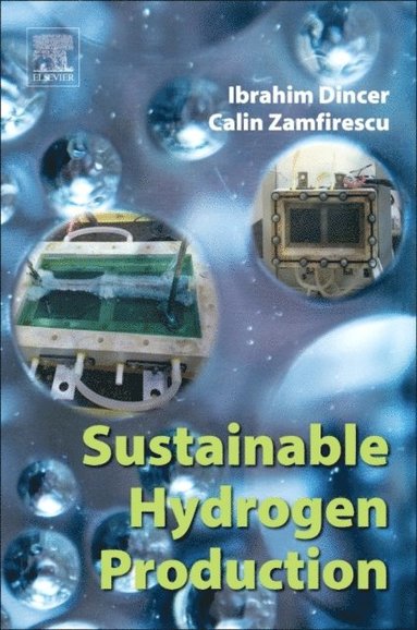 Sustainable Hydrogen Production (e-bok)