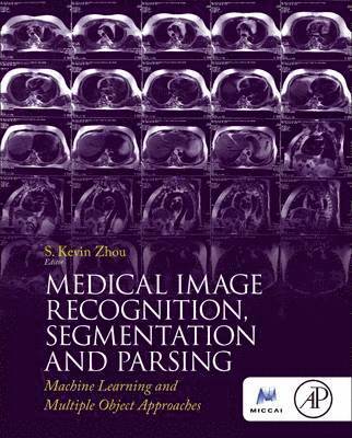 Medical Image Recognition, Segmentation and Parsing (hftad)