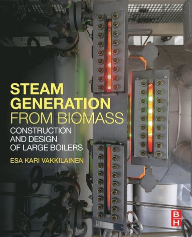 Steam Generation from Biomass (inbunden)